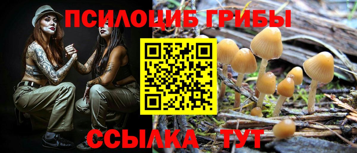 Галлюциногенные грибы прущие грибы Калач-на-Дону