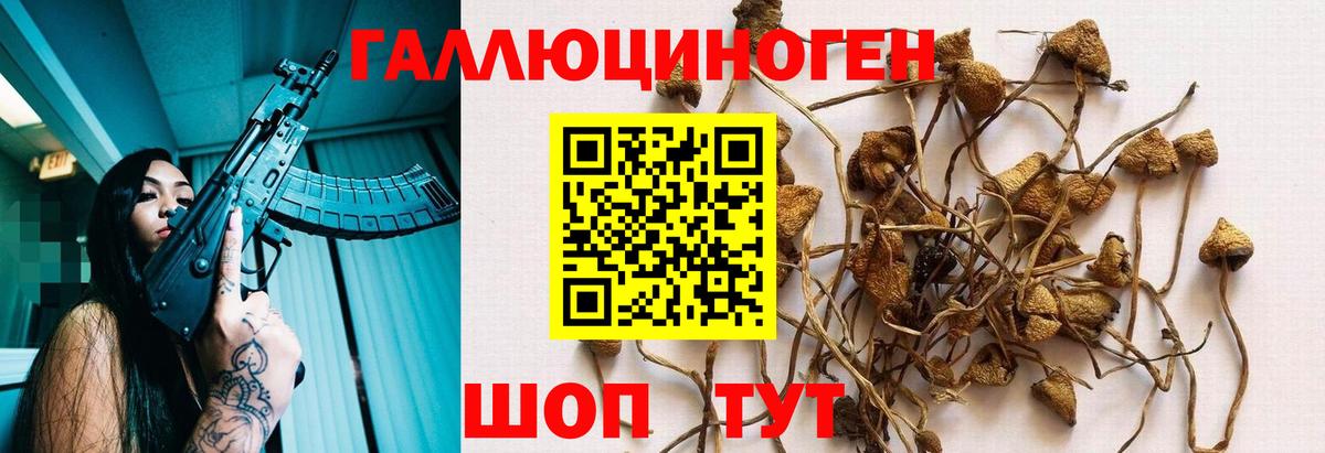 Калач-на-Дону  Галлюциногенные грибы Psilocybe  Вход с VPN 